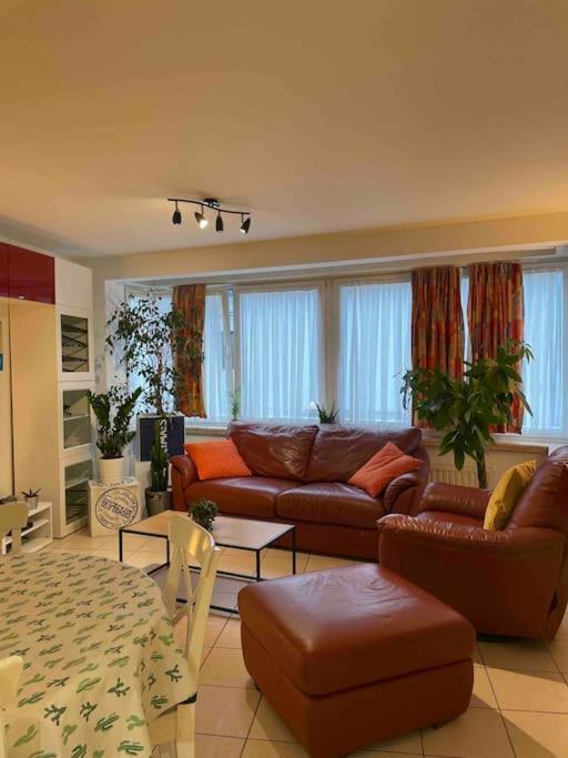 90m2 Op 70m Van Het Strand. Appartement Oostende